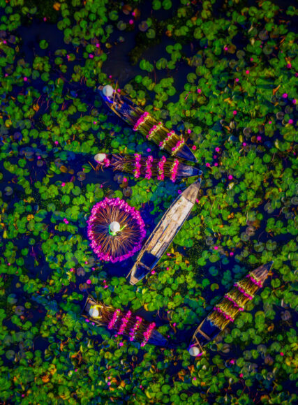 Hình nền quê hương tuyệt đẹp cho điện thoại