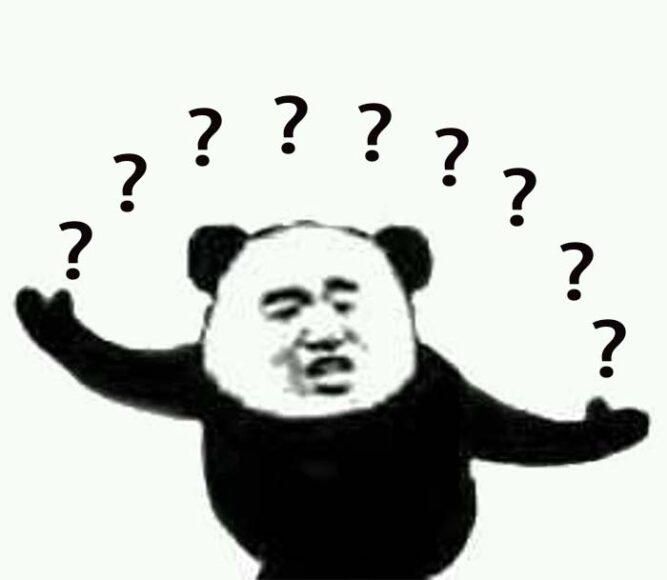 Meme Gấu trúc hỏi chấm