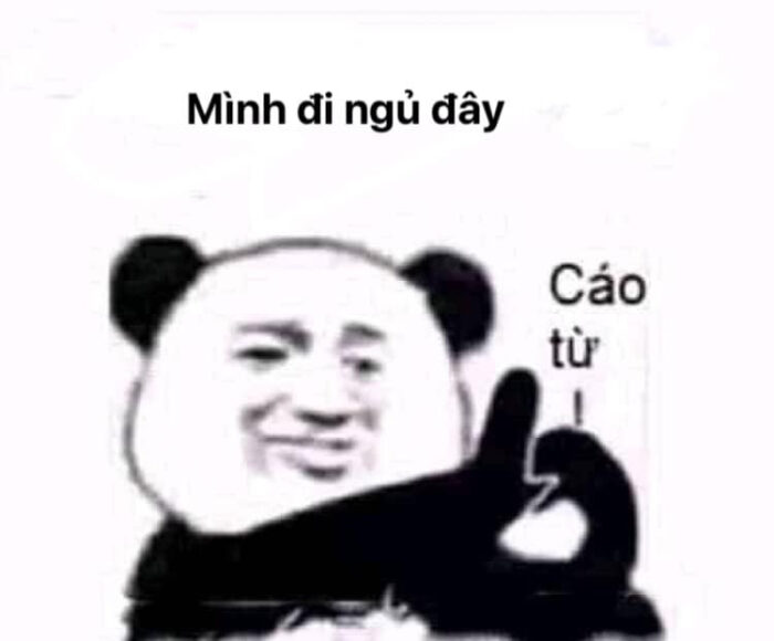 Meme gấu trúc bựa Weibo