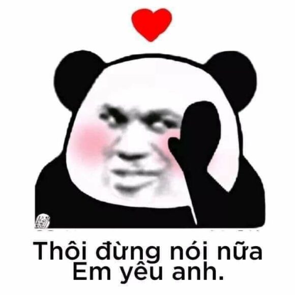 Meme gấu trúc yêu