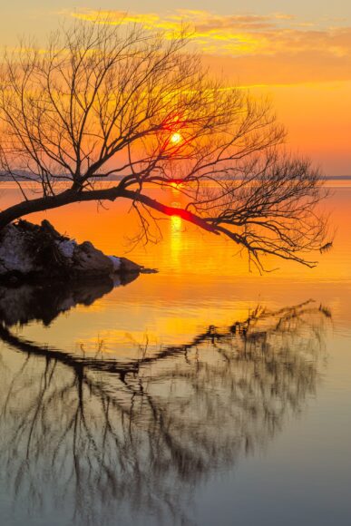 Tài ảnh hoàng hôn đẹp