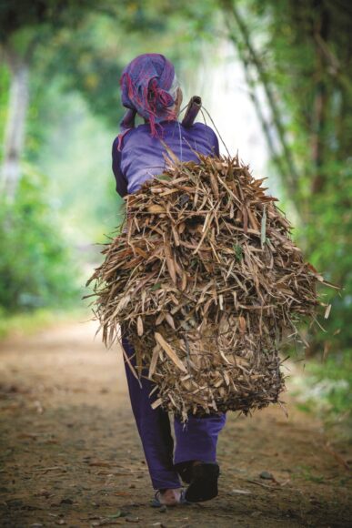 Tải ảnh về mẹ