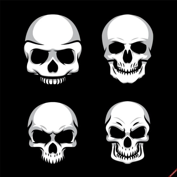 ảnh đầu lâu ấn tượng