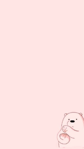 ảnh gấu trắng vỗ tay cute