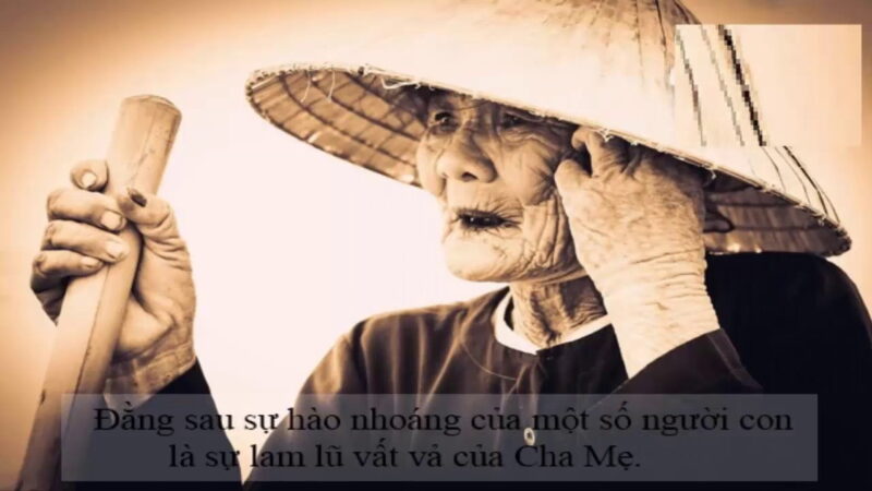 ảnh mẹ già lam lũ