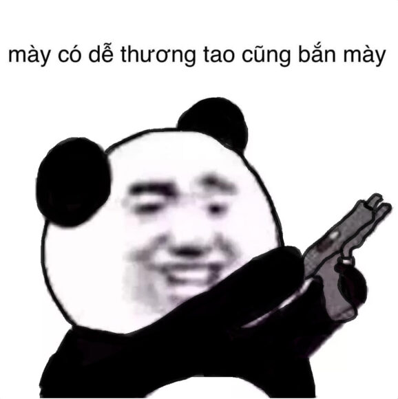 ảnh meme gấu trúc cầm súng