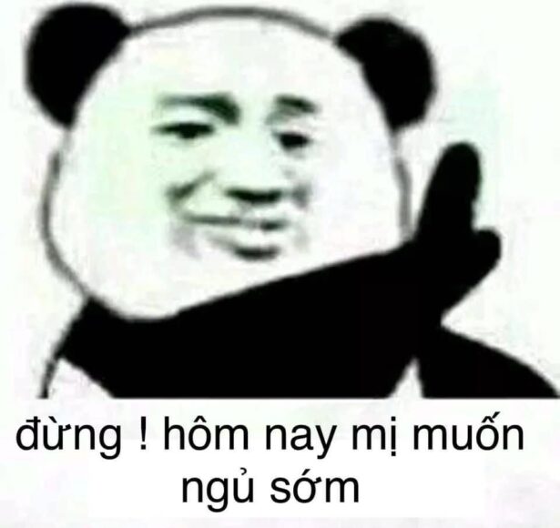 ảnh meme gấu trúc đừng