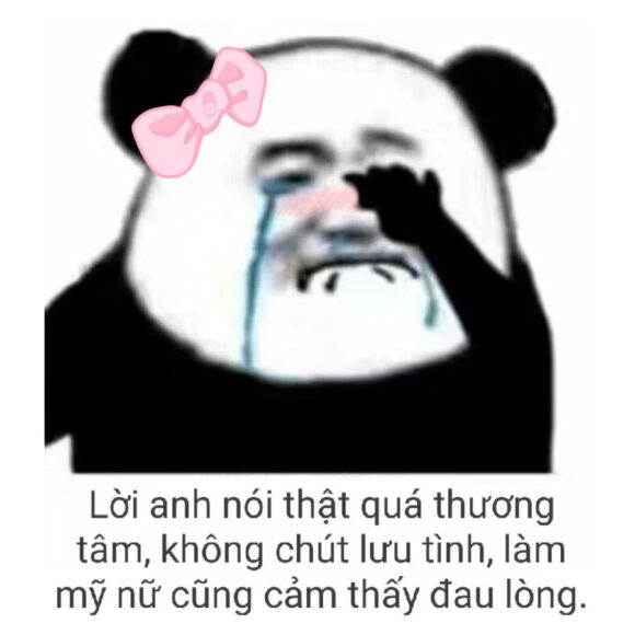 ảnh meme gấu trúc nơ hồng