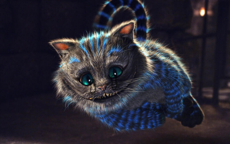 ảnh mèo khóc cực đẹp