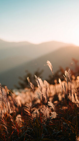 ảnh nền iPhone 4K hoàng hôn