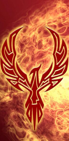 ảnh phượng hoàng lửa cách điệu đơn giản làm hình nền