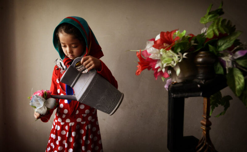 ảnh ước mơ nhẹ nhàng