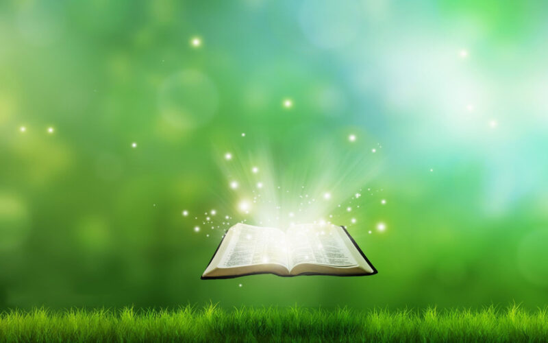 background book tri thức