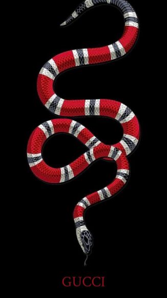 hình Gucci nền đen rắn đỏ