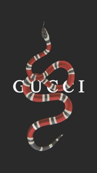 hình ảnh Gucci nền đen con rắn