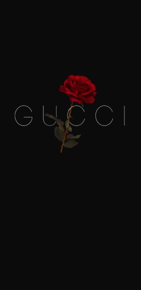 hình ảnh Gucci nền đen hoa hồng