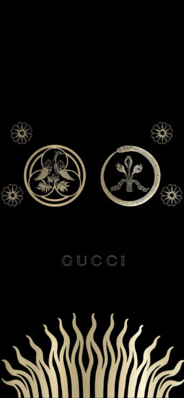 hình ảnh Gucci nền đen tuyệt đẹp