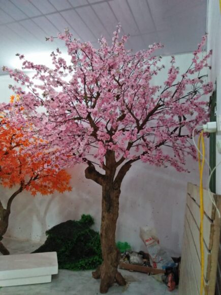 hình ảnh cây đào chơi tết