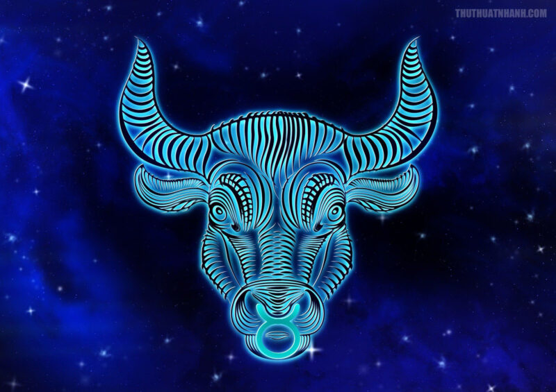 hình ảnh con trâu đẹp nhất làm hình nền