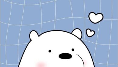 Hình ảnh gấu trắng