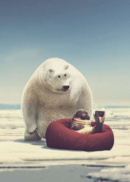 Hình ảnh gấu trắng 3D