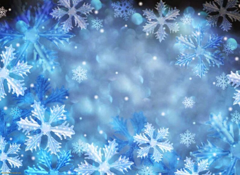 hình ảnh hoa tuyết đẹp