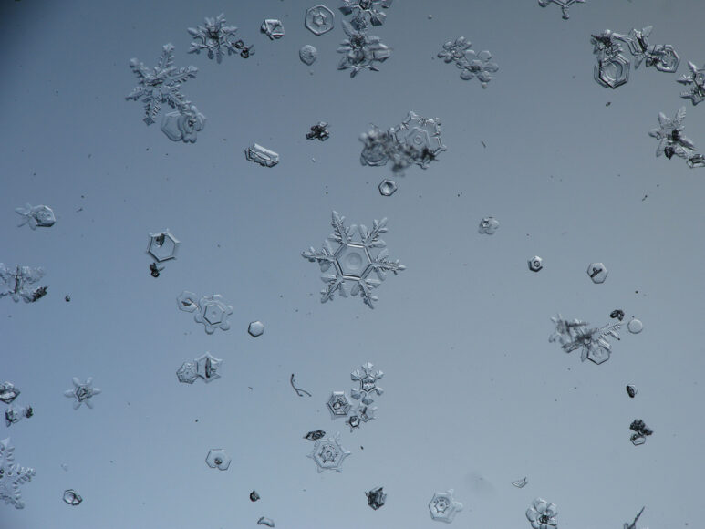 hình ảnh hoa tuyết vẽ