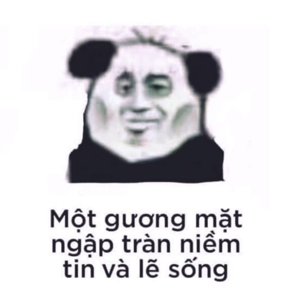 hình ảnh meme gấu trúc độc đáo