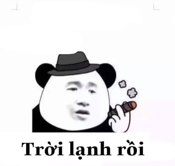 hình ảnh meme gấu trúc hút thuốc