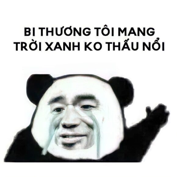 hình ảnh meme gấu trúc khóc