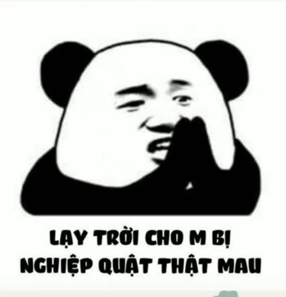 hình ảnh meme gấu trúc lạy trời