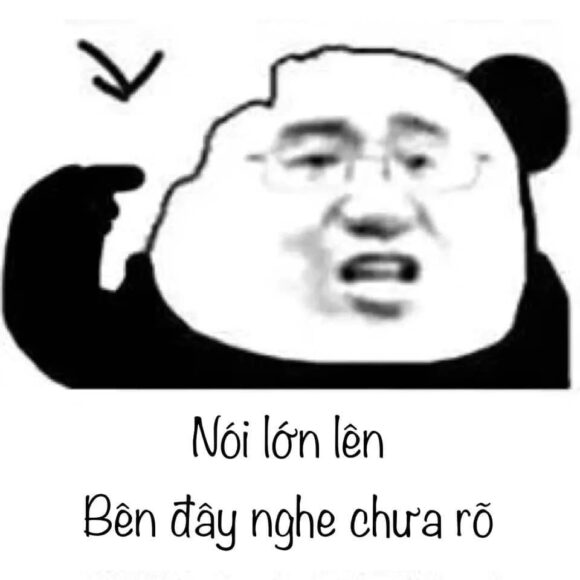 hình ảnh meme gấu trúc nói lớn lên