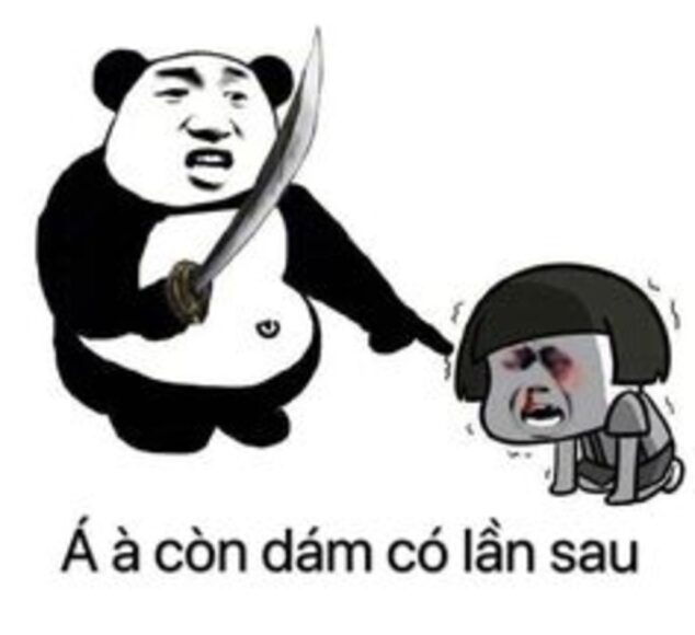hình ảnh meme gấu trúc siêu bựa