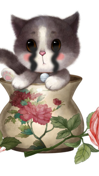 hình ảnh mèo khóc xinh đẹp