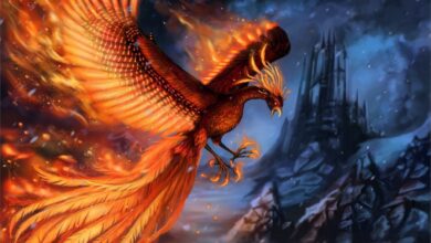 Hình ảnh phượng hoàng lửa