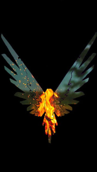 hình ảnh phượng hoàng lửa mang ý nghĩa tái sinh