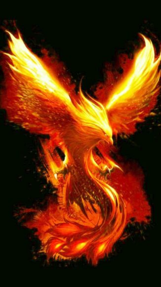 hình ảnh phượng hoàng lửa sải cánh