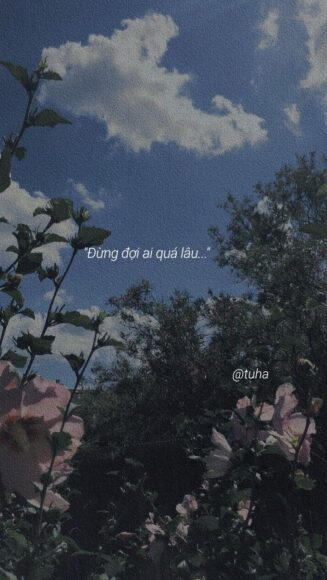 Hình ảnh Sad ảnh quotes
