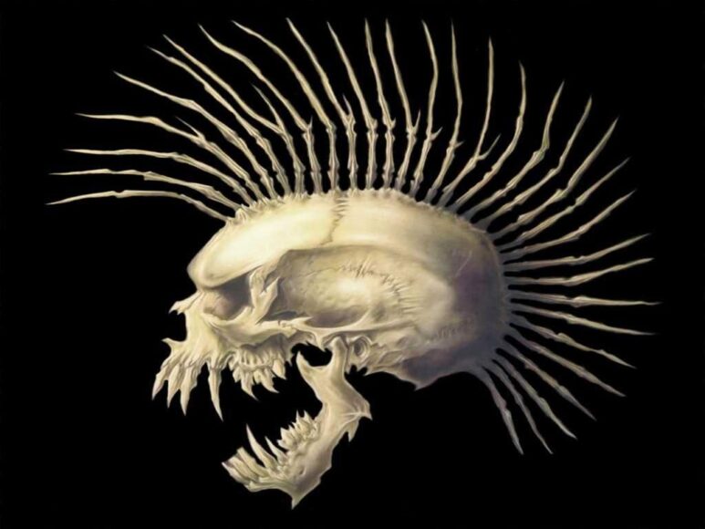 hình đầu lâu góc ngang