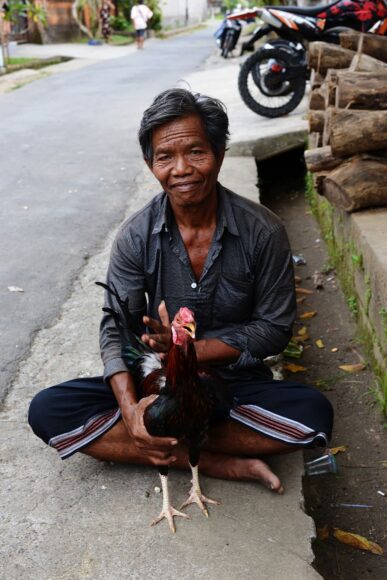 hình gà chọi và chủ thân thiết