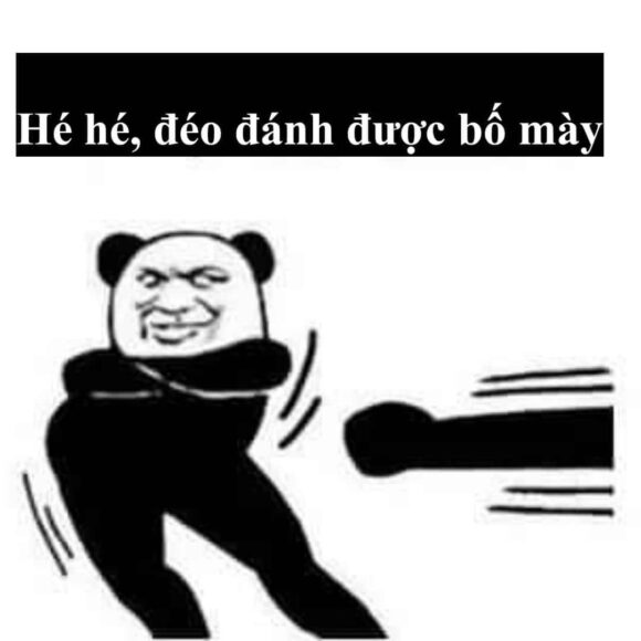 hình meme gấu trúc cực bựa