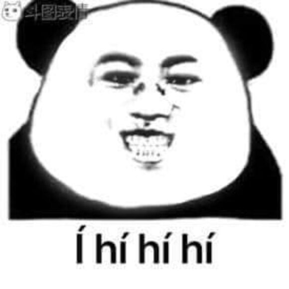 hình meme gấu trúc hí hí hí