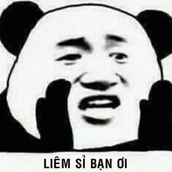 hình meme gấu trúc liêm sỉ