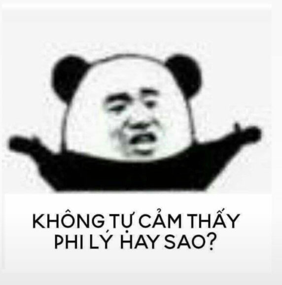 hình meme gấu trúc ngạc nhiên