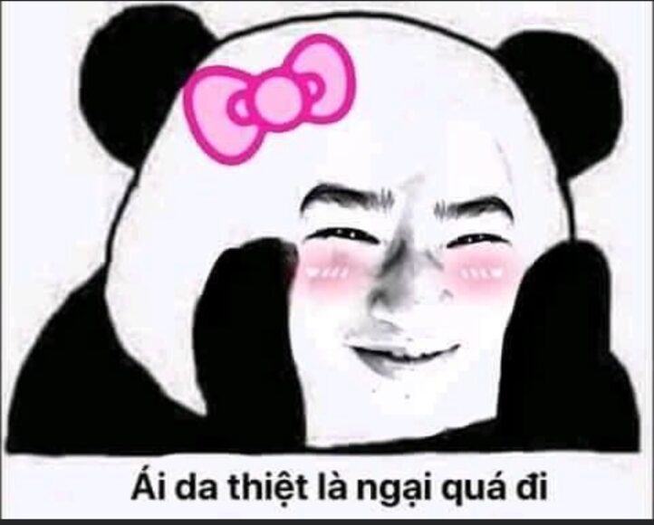 hình meme gấu trúc ngại ngùng