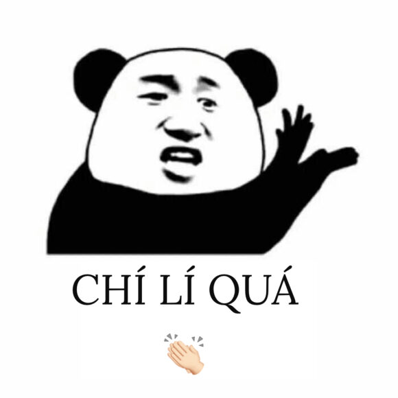 hình meme gấu trúc weibo chí lý