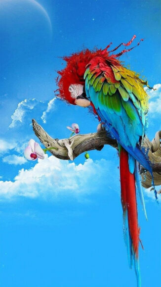 hình nền iphone độc, đẹp