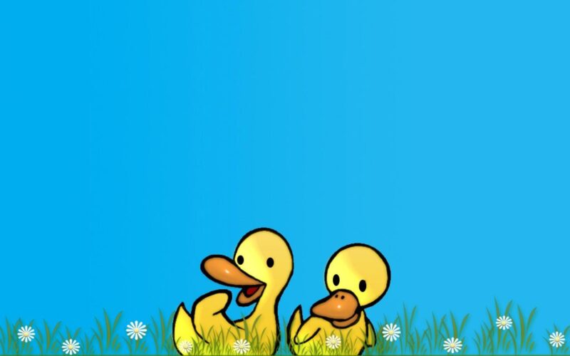 hình nền vịt vàng cute cho máy tính