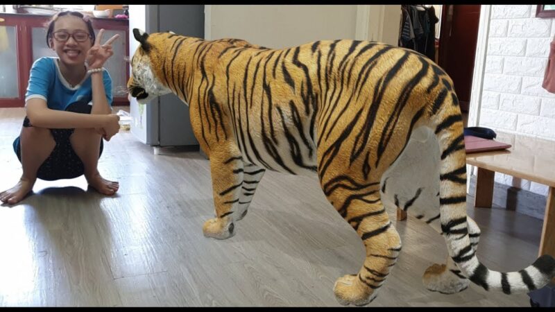 Hình ảnh 3D con vật