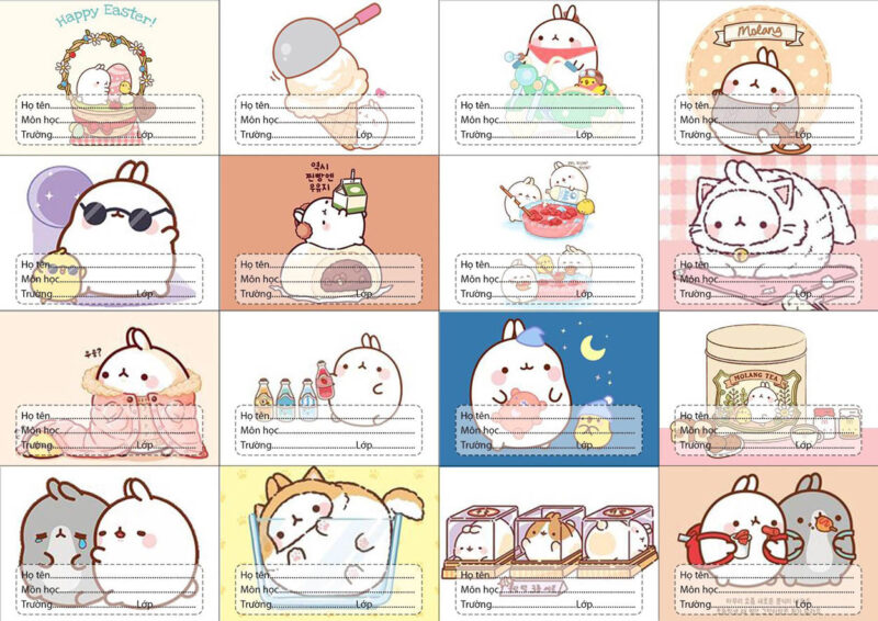 ảnh mẫu nhãn vở meme hài hước